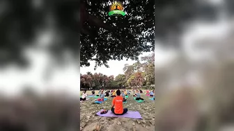 Free Yoga Camp at Gandhi Park Dehradun India