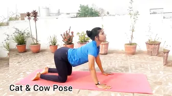 Full body stretching you should do everyday | homeworkouts | #stretching #warmup #fitwithrashmi