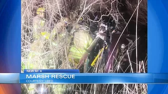 Person rescued after vehicle crashes in Virginia Beach marsh