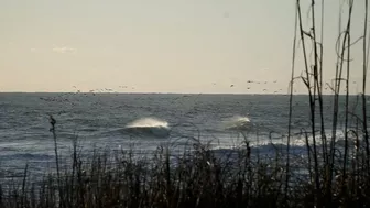 OBX Beach Report - 3/28/22 - Outer Banks This Week