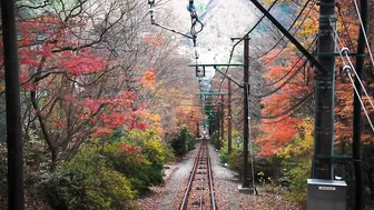 Owakudani | Volcanic valley | Hakone | Japan Travel Guide | Best places to visit Japan｜JNTO