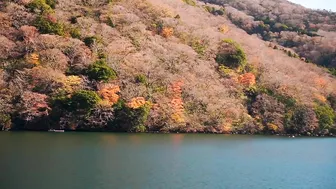 Hakone Sightseeing Cruise | Hakone | Japan Travel Guide | Best places to visit in Japan｜JNTO