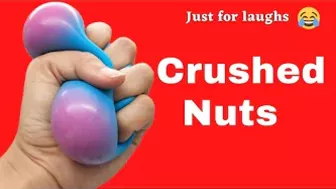 Funny jokes - Crushed nuts