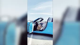 Yoga workout on a convertible Porsche - AMAZING!!