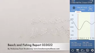 Beach fishing report 033022