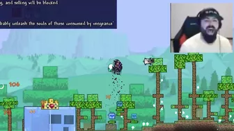 video games portrayed by Terraria: