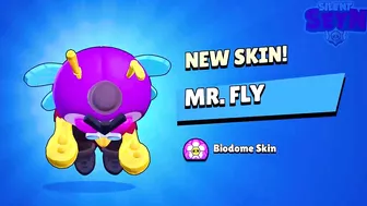 NEW CLASH ROYALE SKINS IN BRAWL STARS!????????(concept)