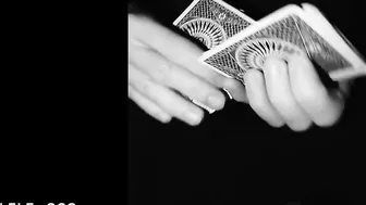 Best Cardistry Compilation of March (Week 4) 2022  | Art of Cardistry  | Best Cardistry