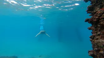 Deerfield Beach Mermaid