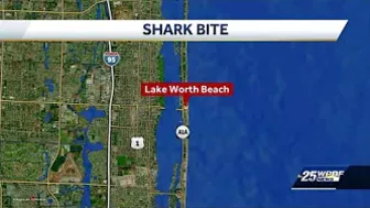 Lake Worth Beach Shark Attack