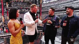 Celebrities at WrestleMania