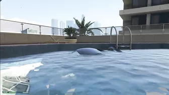 Evolution of Swimming pool Logic in GTA Games ( 2001 - 2022 ) |