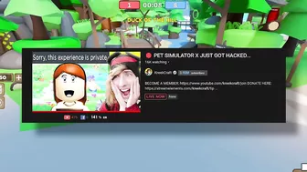 Pet Simulator X Got HACKED.. (Roblox)