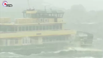 Beach in Sydney flooded by high tide | Natural Disaster 2022