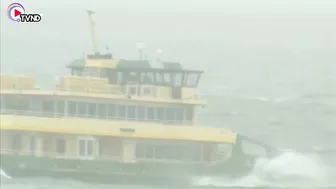 Beach in Sydney flooded by high tide | Natural Disaster 2022