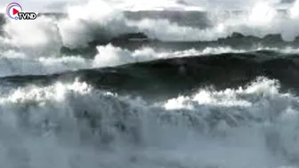 Beach in Sydney flooded by high tide | Natural Disaster 2022