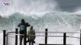 Beach in Sydney flooded by high tide | Natural Disaster 2022