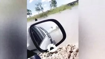 Horror in Australia! Avoca beach tsunami! Flood in New South Wales