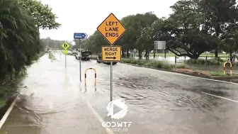 Horror in Australia! Avoca beach tsunami! Flood in New South Wales