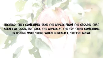 Funny Joke - Woman Are Like Apples On A Tree, The Best Ones Are At The Top