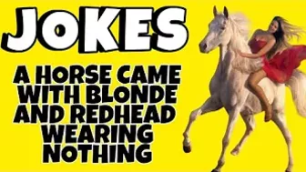 funny comedy joke: a horse with a beautiful blonde!