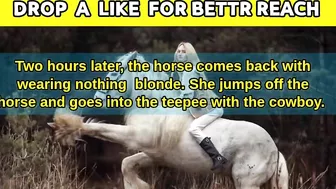 funny comedy joke: a horse with a beautiful blonde!