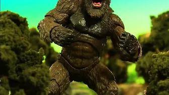 Hasbro G.I. Joe Classified Series Beach Head Still A Beauty, King Kong Got Nothing On Me! Update!