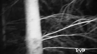 Creature Whistling Captured on Camera | Expedition Bigfoot | Travel Channel