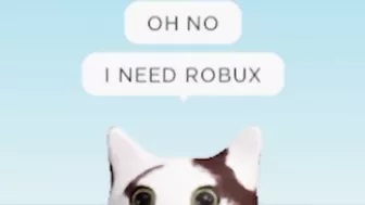 When You play Roblox for the first time