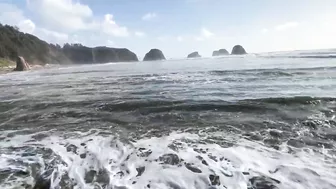 Cannon Beach Sneaker Wave