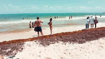 Playa Del Carmen Mexico Beach Walk 4k Things To Do In Playa Now April 2022