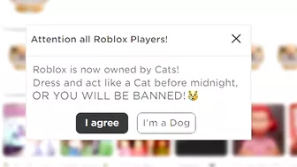 If A Cat Owns ROBLOX ????