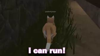 If A Cat Owns ROBLOX ????