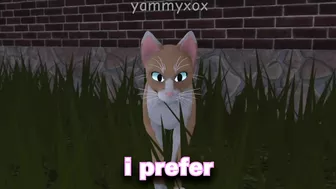 If A Cat Owns ROBLOX ????