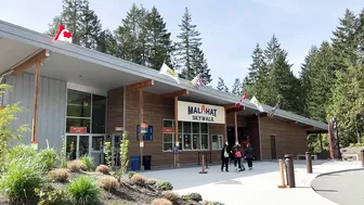 Must-Visit Place in Malahat, BC | Is Malahat SkyWalk worth it? | Travel Vlog