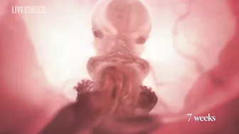 Meet Baby Olivia | A Never Before Seen Look At Human Life In The Womb