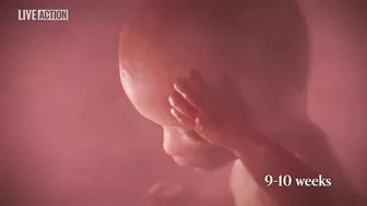 Meet Baby Olivia | A Never Before Seen Look At Human Life In The Womb