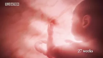 Meet Baby Olivia | A Never Before Seen Look At Human Life In The Womb