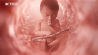 Meet Baby Olivia | A Never Before Seen Look At Human Life In The Womb