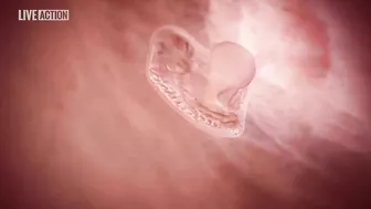 Meet Baby Olivia | A Never Before Seen Look At Human Life In The Womb