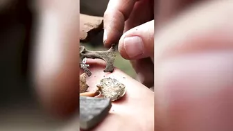 Geologists Unearth Fully Intact Rock — TikTok compilation