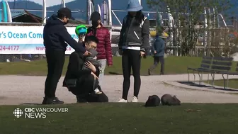 Jericho Beach bunny boom