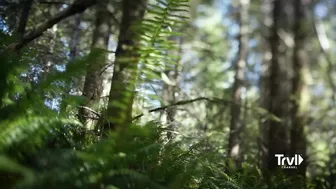 Search for Bigfoot Reaches New Heights | Expedition Bigfoot | Travel Channel