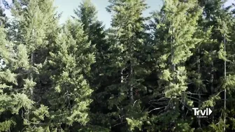 Search for Bigfoot Reaches New Heights | Expedition Bigfoot | Travel Channel