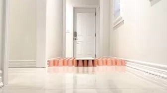 My Dogs Try Paper Cup Challenge