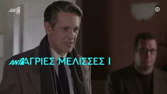 Αγριες μέλισσες - πέμπτη  14/4/22 (επεισόδιο 100 Γ κύκλος) (HD) - TRAILER