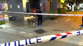 Police dog at scene of slashing in Beach Road