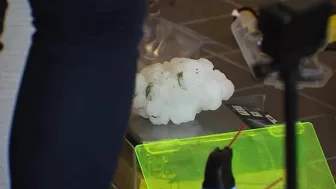 Experts travel to Salado to 3D scan large hailstone | FOX 7 Austin