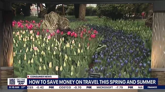 How to save money on spring and summer travel | FOX 13 Seattle