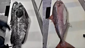 Amazing Live Fish Cutting Skills | Fish Cutting Compilation | fish cutting videos #seafood